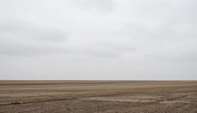 企业技术管理中的选型与维护建议